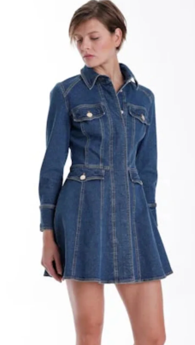 DANIELA DENIM DRESS