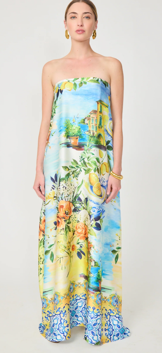 JIANNA DRESS